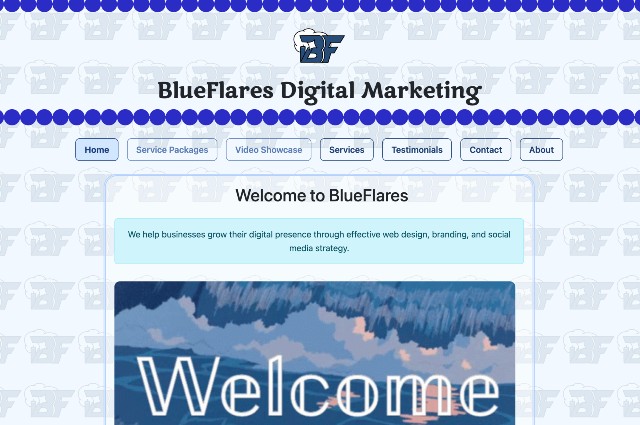Screenshot of BlueFlares marketing demo site